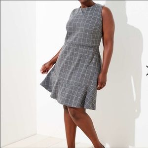 NWT LOFT DRESS